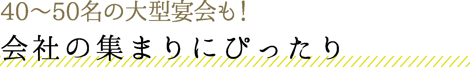 40～50名の大型宴会も！ 会社の集まりにぴったり